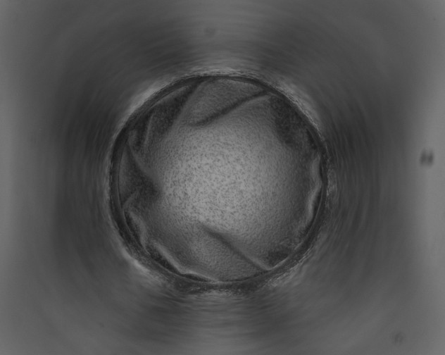 X0000089910578200707131351