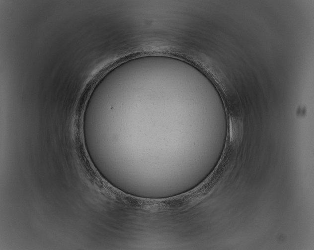 X0000089910579200707131351