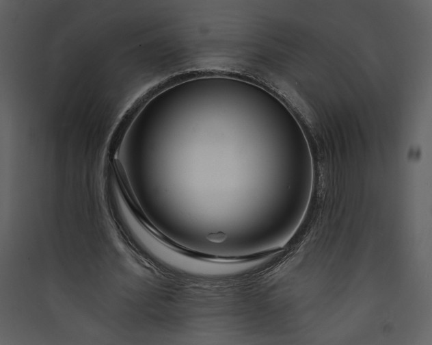 X0000089910580200707131351
