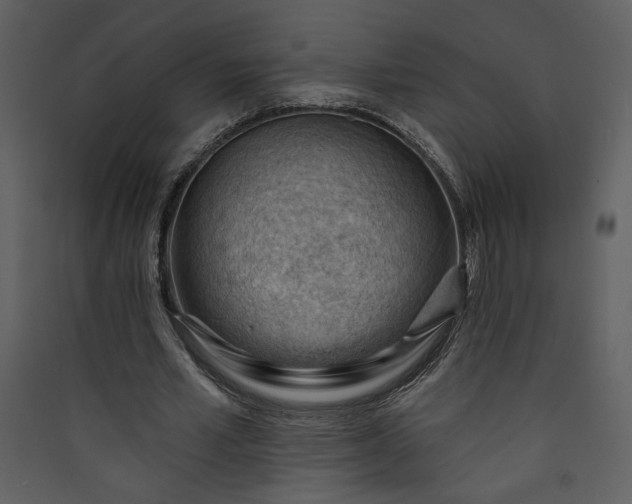 X0000089910581200707131351
