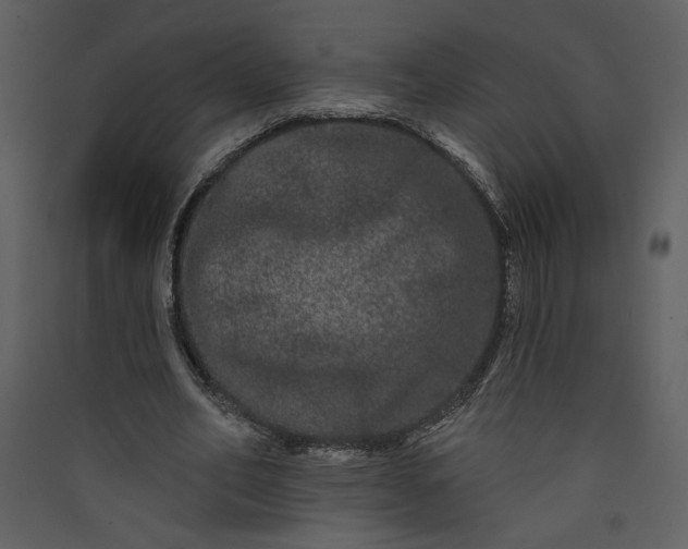 X0000089910582200707131351