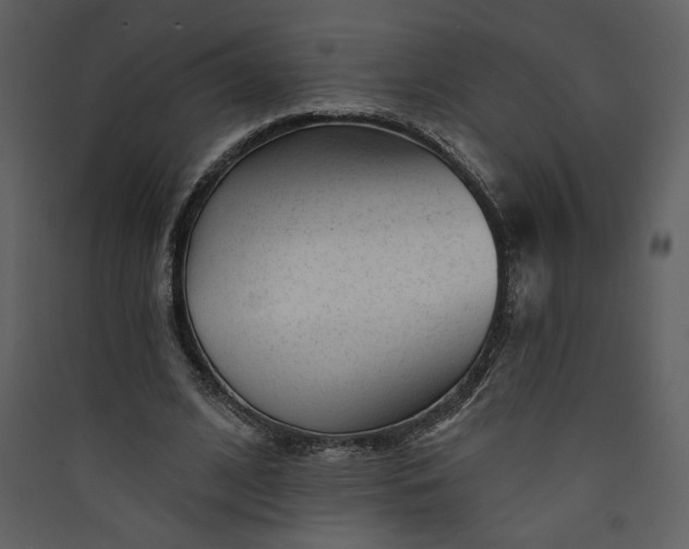 X0000089910584200707131351