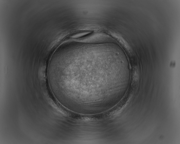 X0000089910585200707131351