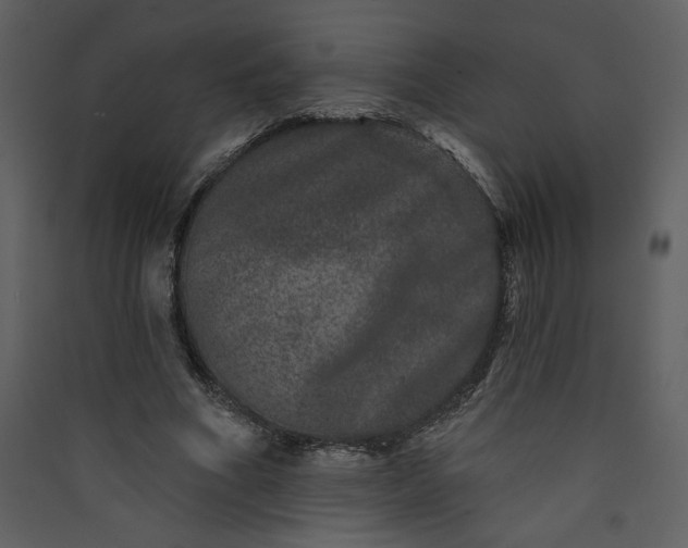 X0000089910586200707131351