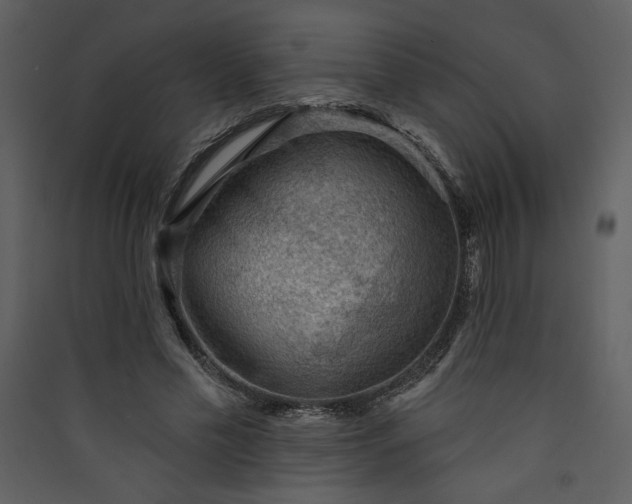 X0000089910589200707131351