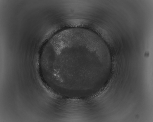X0000089910590200707131351