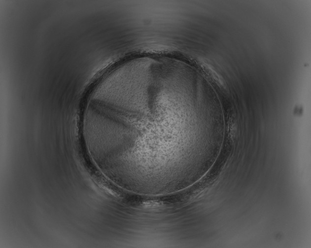 X0000089910591200707131351