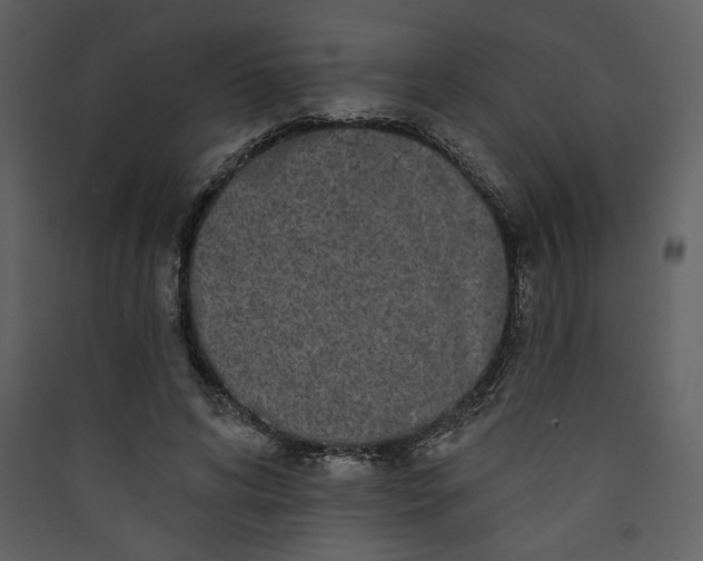 X0000089910592200707131351