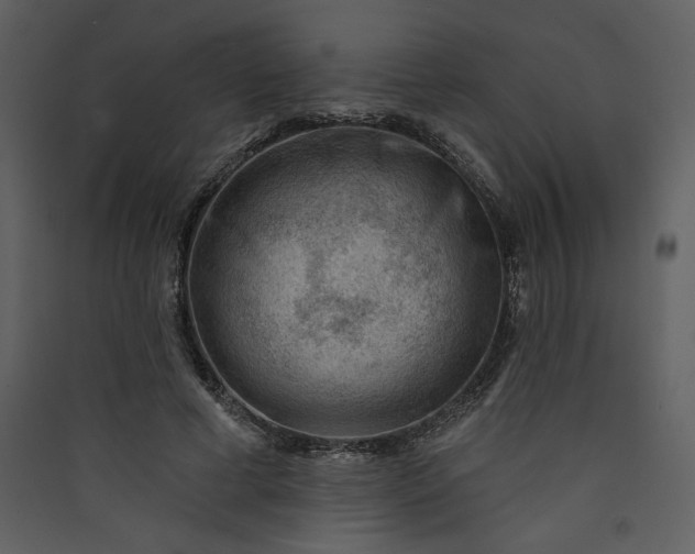 X0000089910593200707131351