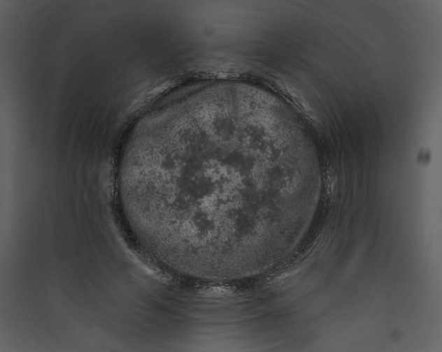 X0000089910594200707131351