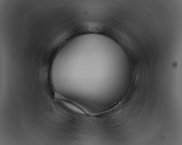 X0000089910595200707131351