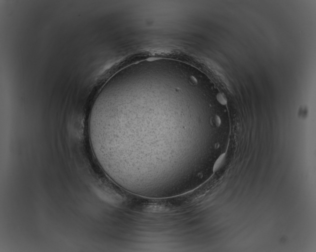X0000089910596200707131351