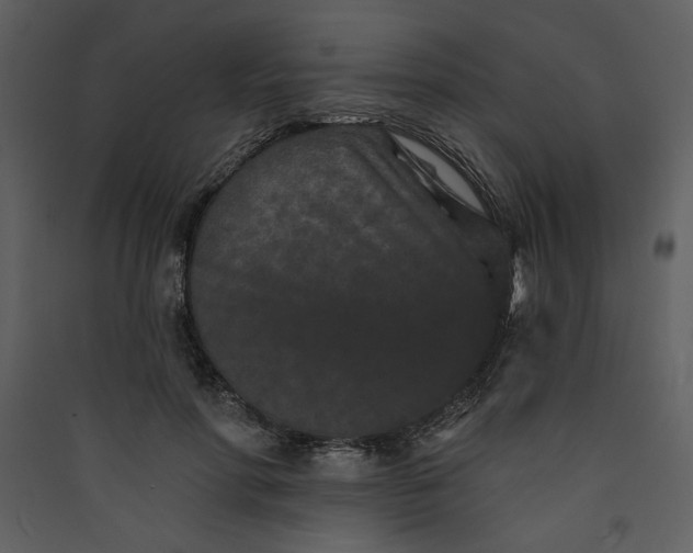 X0000089910598200707131351