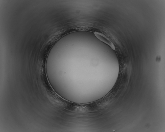 X0000089910599200707131351