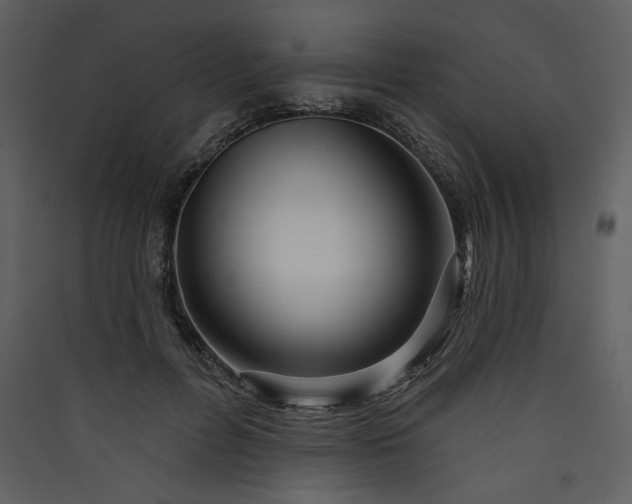 X0000089910600200707131351