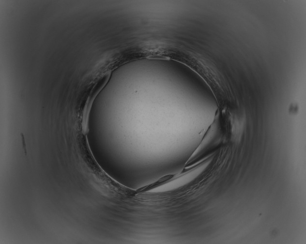 X0000089910601200707131351
