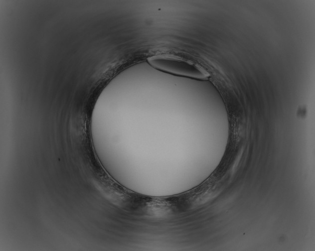 X0000089910603200707131351