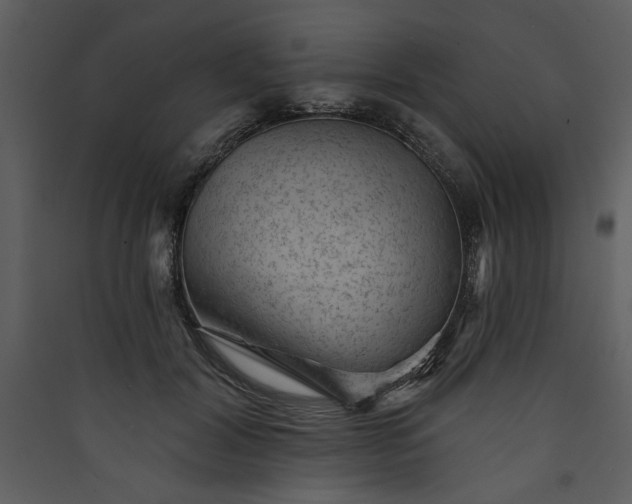 X0000089910604200707131351
