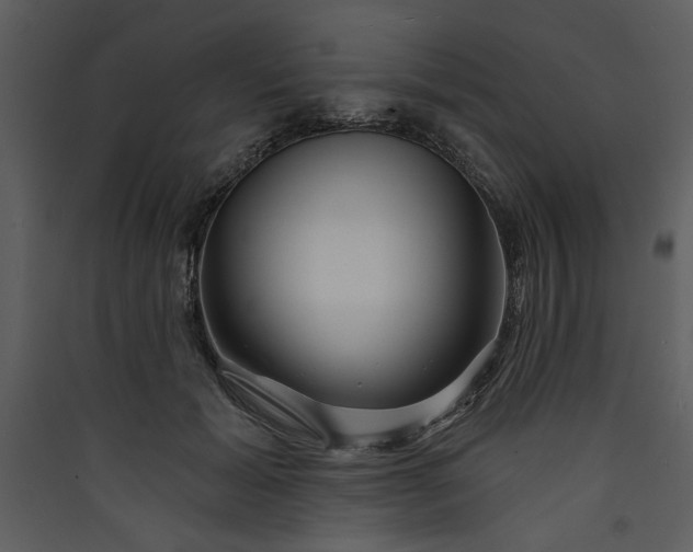 X0000089910605200707131351