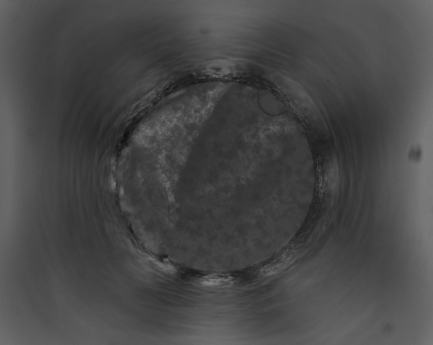 X0000089910606200707131351