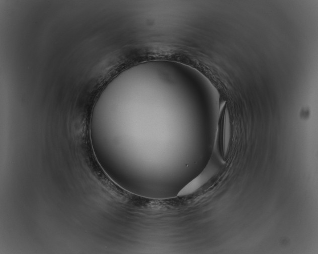 X0000089910608200707131351