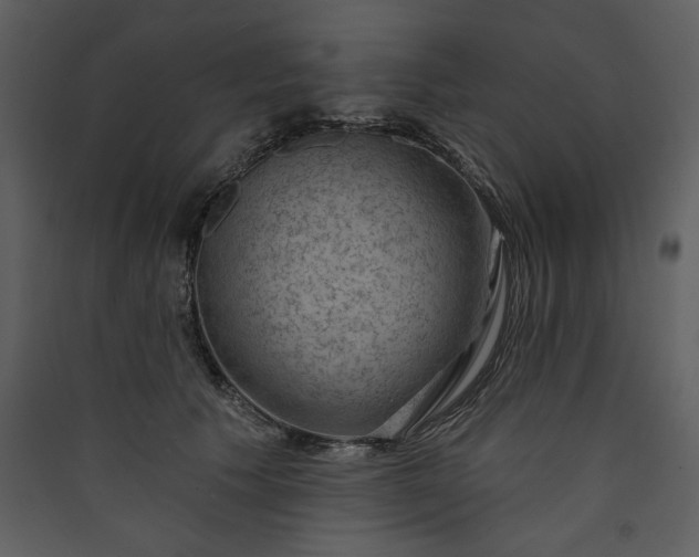 X0000089910609200707131351
