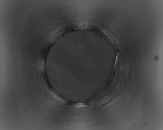 X0000089910610200707131351