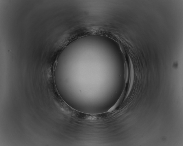 X0000089910611200707131351