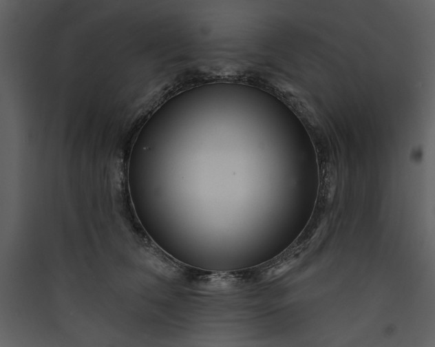 X0000089910612200707131351