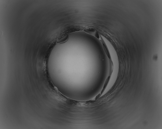 X0000089910613200707131350