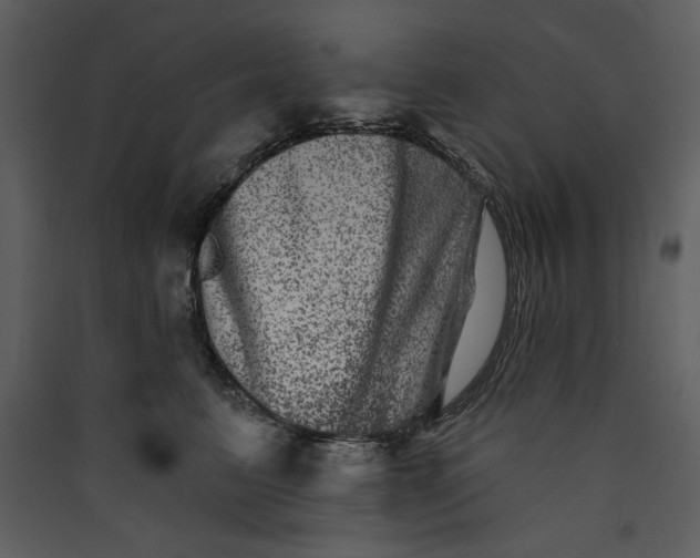 X0000089910615200707131350