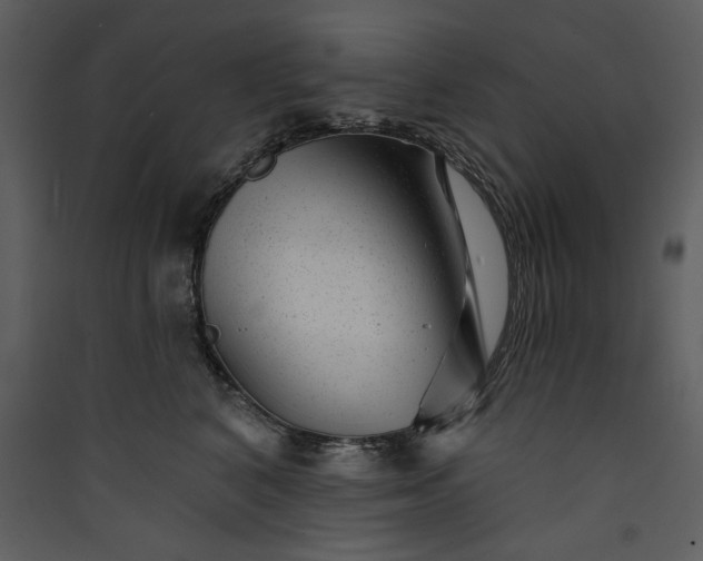 X0000089910616200707131350
