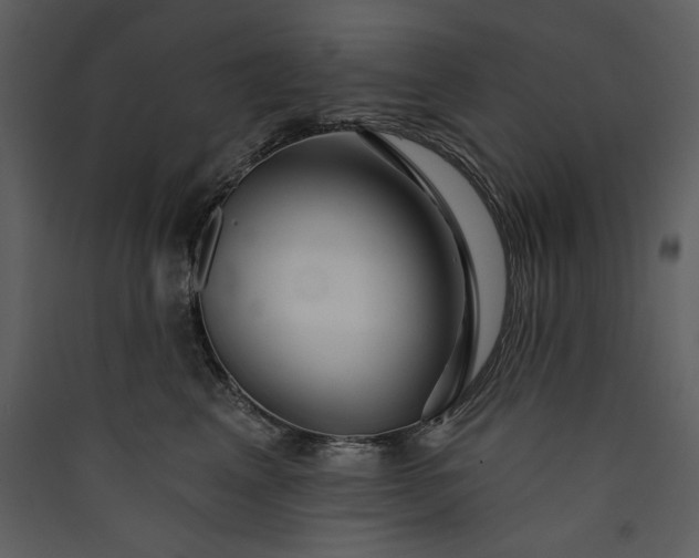 X0000089910617200707131350