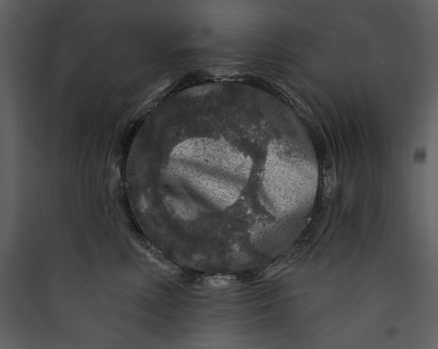 X0000089910618200707131350