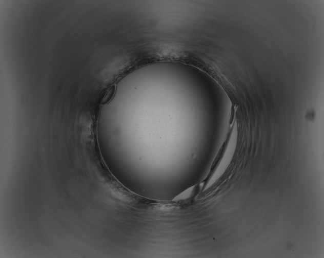 X0000089910619200707131350