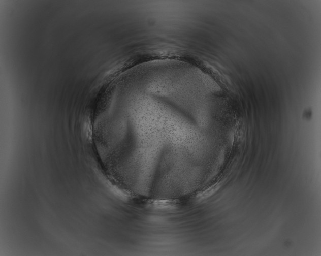 X0000089910622200707131350