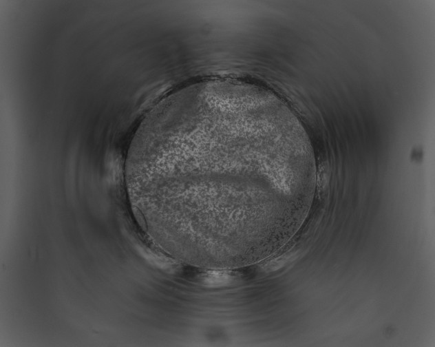 X0000089910623200707131350