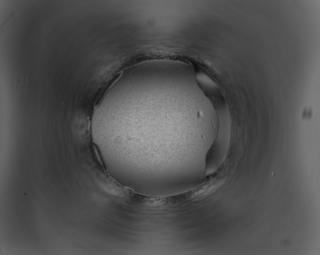 X0000089910624200707131350
