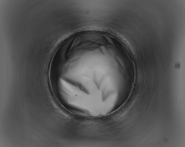 X0000089910625200707131350