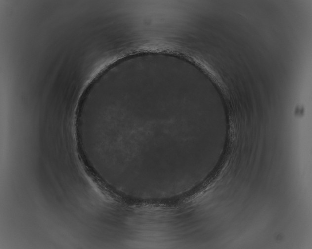 X0000089910626200707131350
