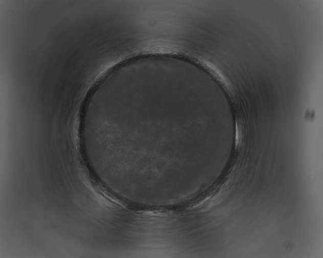 X0000089910627200707131350