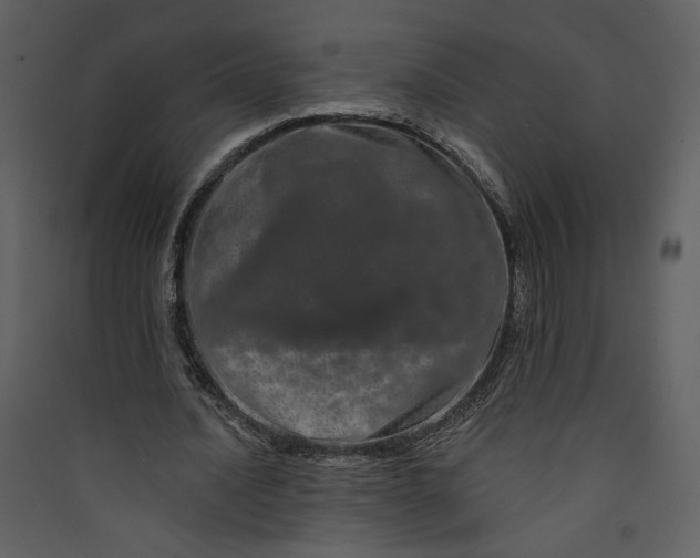 X0000089910628200707131350