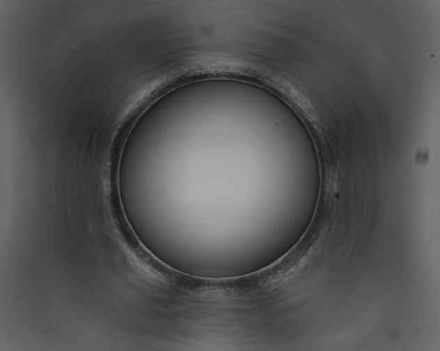 X0000089910629200707131350