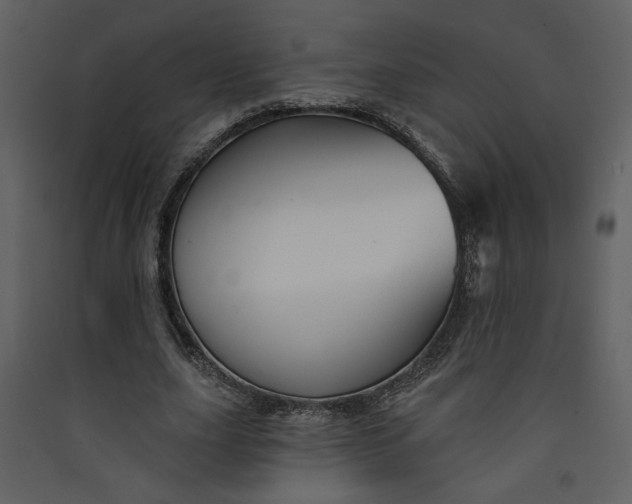 X0000089910631200707131350
