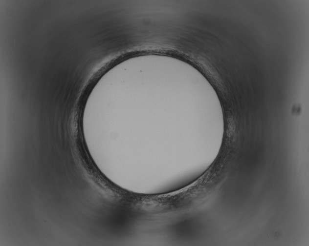 X0000089910632200707131350