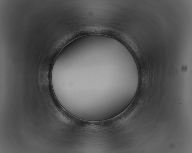 X0000089910633200707131350