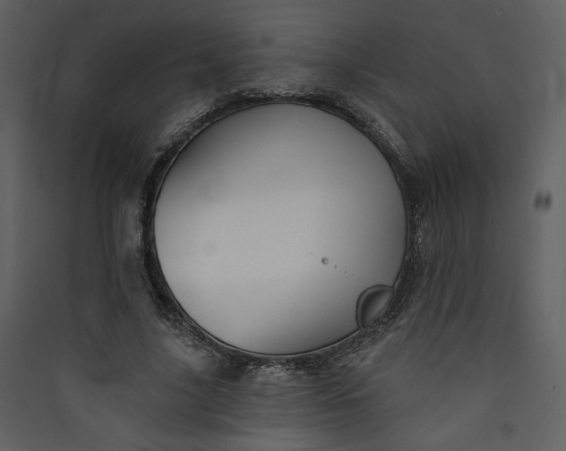 X0000089910635200707131350