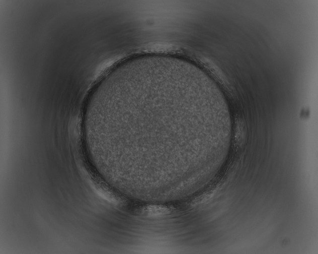 X0000089910636200707131350