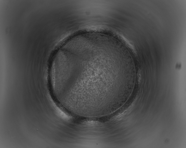 X0000089910637200707131350