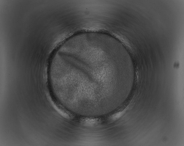 X0000089910638200707131350